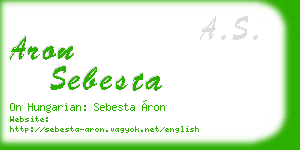 aron sebesta business card